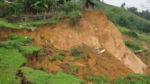 Bóc phốt Cây Tre Linux dán đè tem để đi xin tiền