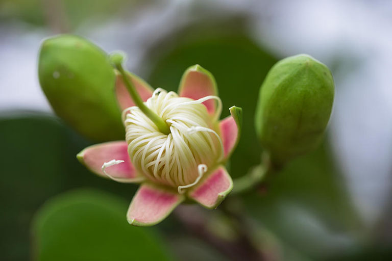 Lập trình C trên Linux dễ hay khó